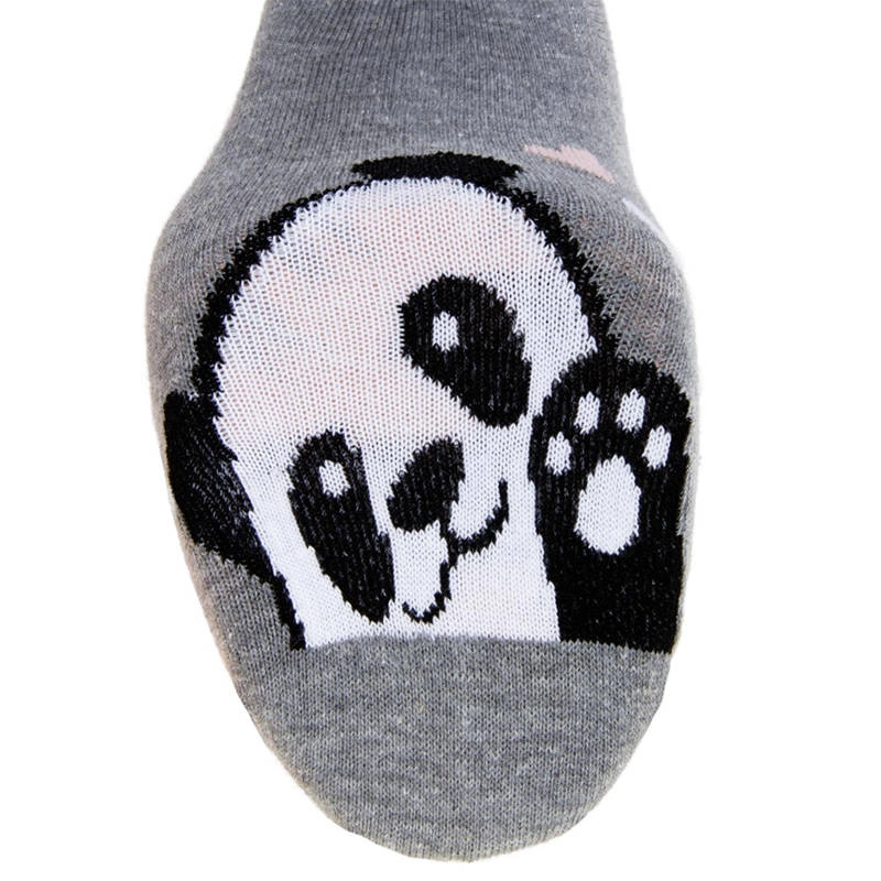 Ponožky Moraj - CSL250-023 Mix Kolor